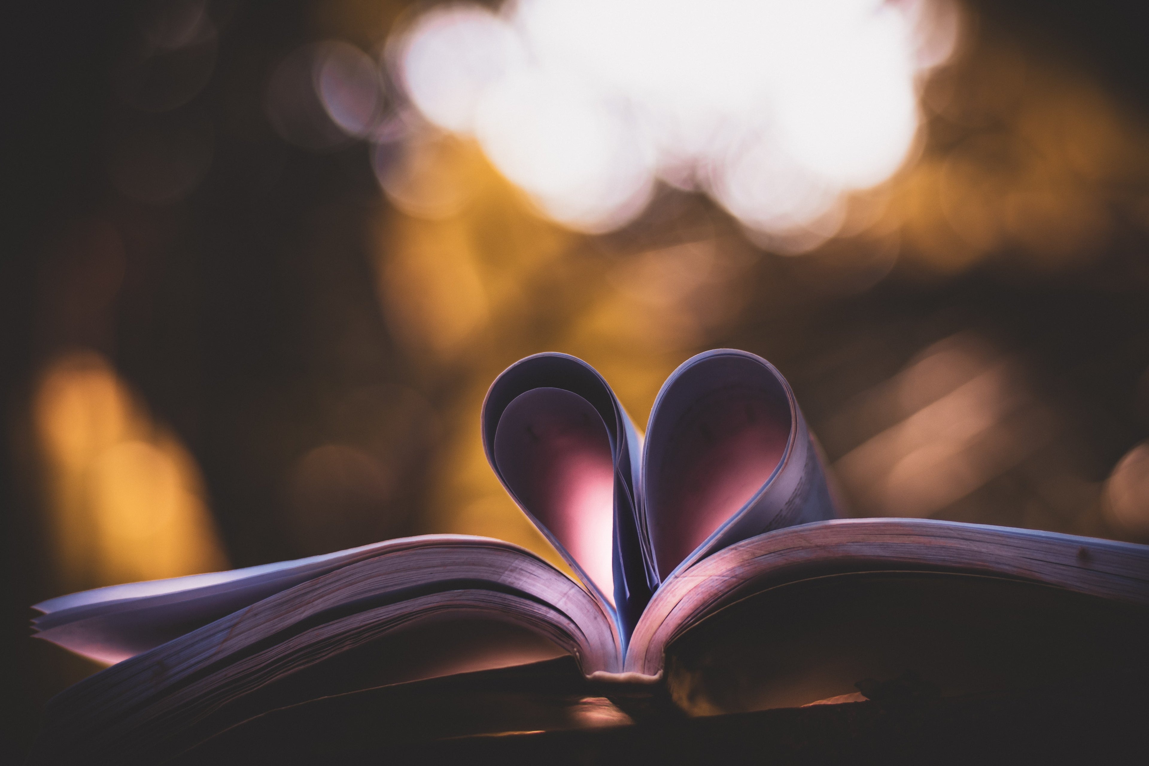 Board Books