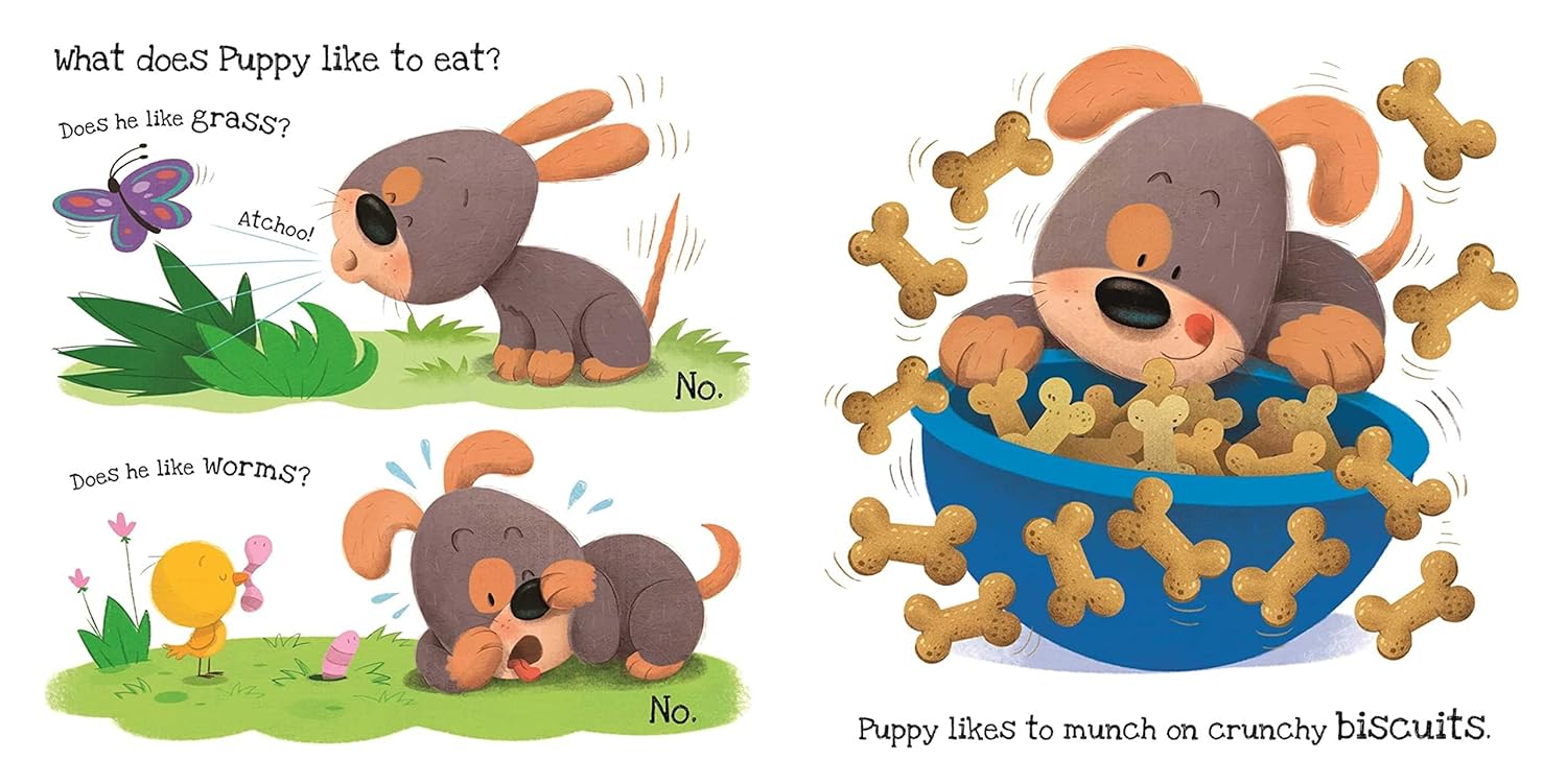 What Does Puppy Like?: Touch & Feel Board Book