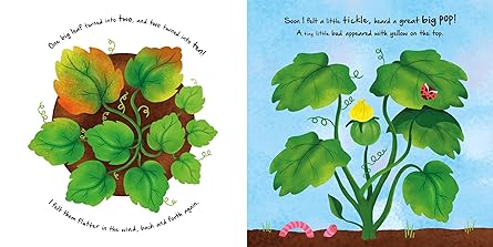 Little Pumpkin (An illustrated story about the life-cycle of a pumpkin)