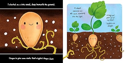 Little Pumpkin (An illustrated story about the life-cycle of a pumpkin)