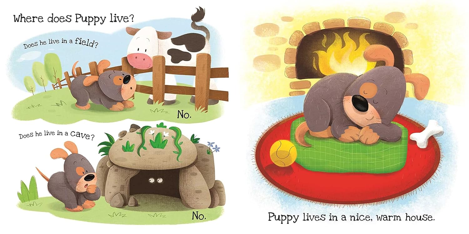 What Does Puppy Like?: Touch & Feel Board Book